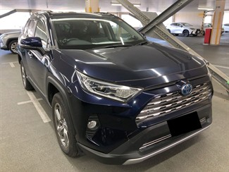 2019 Toyota RAV4 - Thumbnail