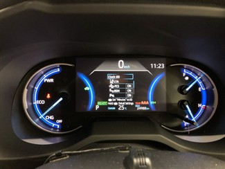 2019 Toyota RAV4 - Thumbnail