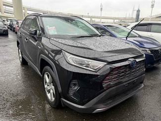2019 Toyota RAV4 - Thumbnail