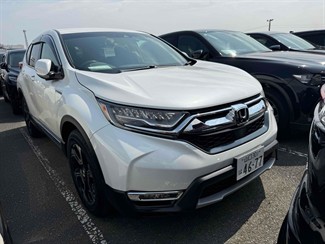 2019 Honda CR-V - Thumbnail