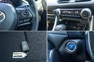 2019 Toyota RAV4 - Thumbnail