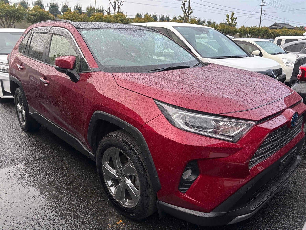 2021 Toyota RAV4