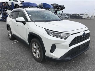 2019 Toyota RAV4 - Thumbnail