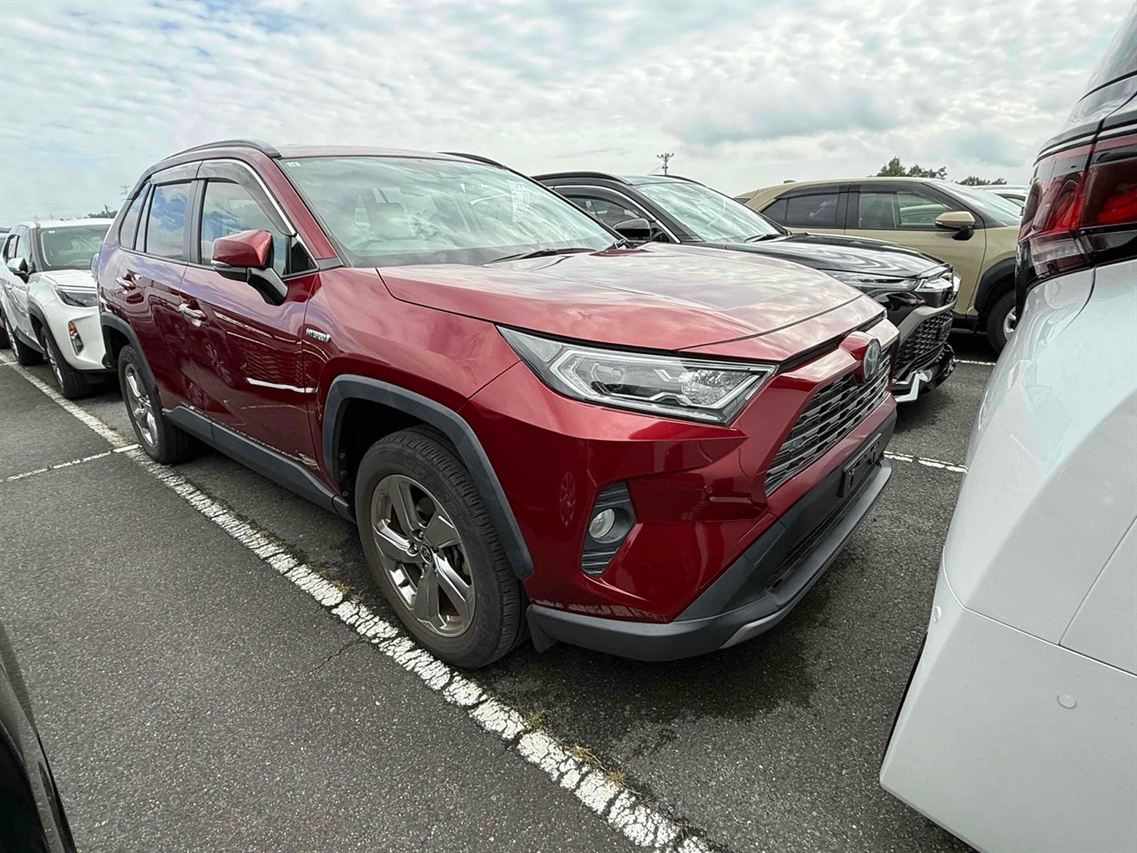 2019 Toyota RAV4