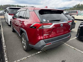 2019 Toyota RAV4 - Thumbnail