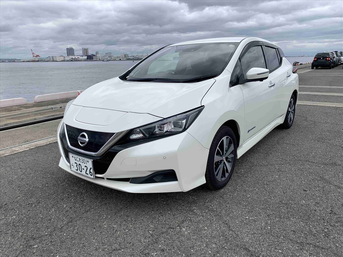 2019 Nissan LEAF